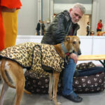 Kielce. XI Międzynarodowa Wystawa Psów Rasowych (13 listopada 2016) / Kamil Król / Radio Kielce