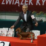 Kielce. XI Międzynarodowa Wystawa Psów Rasowych (13 listopada 2016) / Kamil Król / Radio Kielce