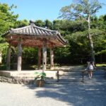 Muzyczne Podróże Przez Świat. Japonia.Kioto-Osaka (12 listopada 2016 r.) / Maciej Tuz / Radio Kielce