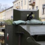 Kielce. Plac Wolności. Obchody Święta Niepodległości (11 listopada 2016 r.) / Piotr Michalski / Radio Kielce