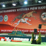 Kielce. XI Międzynarodowa Wystawa Psów Rasowych (13 listopada 2016) / Kamil Król / Radio Kielce