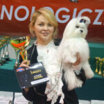 Kielce. XI Międzynarodowa Wystawa Psów Rasowych (13 listopada 2016) / Kamil Król / Radio Kielce