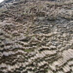 Armenia / prof. Renata Piwowarczyk