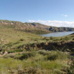 Armenia / prof. Renata Piwowarczyk