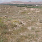 Armenia / prof. Renata Piwowarczyk