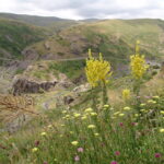 Armenia / prof. Renata Piwowarczyk