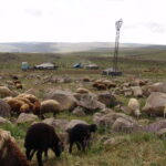 Armenia / prof. Renata Piwowarczyk