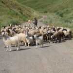 Armenia / prof. Renata Piwowarczyk