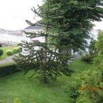 Norwegia. Kristiansand / Anna Janicka / Radio Kielce