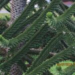 Norwegia. Kristiansand / Anna Janicka / Radio Kielce