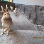 Norwegia. Oslo. Muzeum Przyrodnicze / Anna Janicka / Radio Kielce