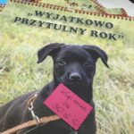 26.11.2016. Akcja charytatywna na rzecz schroniska dla bezdomnych psów w Sandomierzu / Grażyna Szlęzak-Wójcik / Radio Kielce