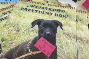 26.11.2016. Akcja charytatywna na rzecz schroniska dla bezdomnych psów w Sandomierzu / Grażyna Szlęzak-Wójcik / Radio Kielce