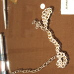 Łotwa. Jelgava. Muzeum psychiatryczne / prof. Bożena Zawadzka / prof. Ewa Nowak