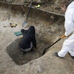 10.11.2016 Kielce. Ekshumacja szczątków ofiar terroru komunistycznego na terenie cmentarza Piaski. / Jarosław Kubalski / Radio Kielce