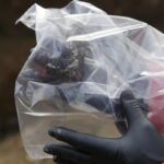 10.11.2016 Kielce. Ekshumacja szczątków ofiar terroru komunistycznego na terenie cmentarza Piaski. Rzuchwa. / Jarosław Kubalski / Radio Kielce