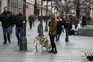 14.11.2016 Belgrad. Serbia. Spacer po mieście. / Jarosław Kubalski / Radio Kielce