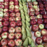 18.11.2016 Kielce. Targi Technologii Sadowniczych i Warzywniczych HORTI-TECH. / Jarosław Kubalski / Radio Kielce