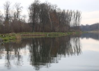 Zalew w Kielcach / Kamil Król / Radio Kielce