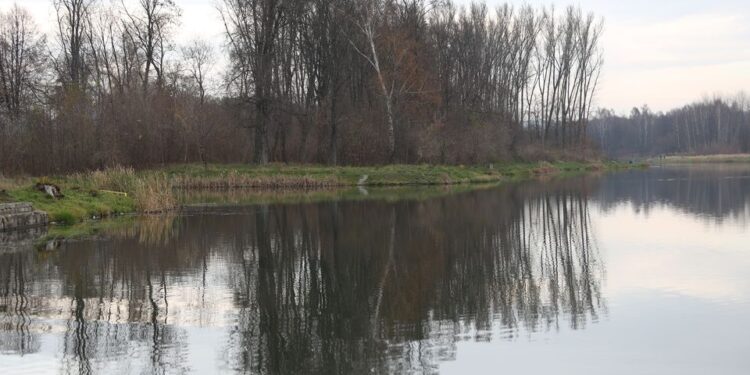 Zalew w Kielcach / Kamil Król / Radio Kielce