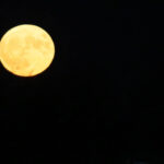 14.11.2016 Kielce. SuperKsiężyc nad Kielcami / Wojciech Habdas / Radio Kielce