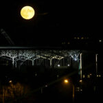 14.11.2016 Kielce. SuperKsiężyc nad Kielcami / Wojciech Habdas / Radio Kielce