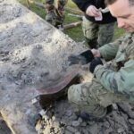 15.11.2016 Radomice. Fragmenty podwozia transportera niemieckiego z czasów II Wojny Światowej / Wojciech Habdas / Radio Kielce