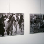 19.11.2016 Kielce. Otwarto także wystawę Ireny Gałuszki - Na styku realności / Wojciech Habdas / Radio Kielce