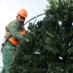 28.11.2016. Na Rynku rozpoczął się montaż choinki / Wojciech Habdas / Radio Kielce