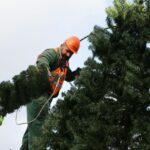 28.11.2016. Na Rynku rozpoczął się montaż choinki / Wojciech Habdas / Radio Kielce