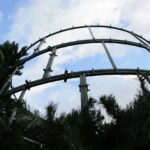 28.11.2016. Na Rynku rozpoczął się montaż choinki / Wojciech Habdas / Radio Kielce