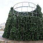 28.11.2016. Na Rynku rozpoczął się montaż choinki / Wojciech Habdas / Radio Kielce