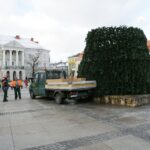28.11.2016. Na Rynku rozpoczął się montaż choinki / Wojciech Habdas / Radio Kielce