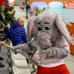 30.11.2016 Kielce. Siatkarze Effectora Kielce przegrali 2:3(17:25, 17:25, 27:25, 25:21, 10:15) z MKSem Będzin w meczu 11. kolejki PlusLigi siatkarzy. / Wojciech Habdas / Radio Kielce