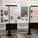 16.11.2016 Wystawa poświęcona Henrykowi Sienkiewiczowi w Senacie RP / Łukasz Wojtczak