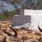 Muzyczne Podróże Przez Świat. Madagaskar (10 grudnia 2016) / Prof. Danuta Rasała / Radio Kielce