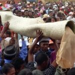 Muzyczne Podróże Przez Świat. Madagaskar (10 grudnia 2016) / Prof. Danuta Rasała / Radio Kielce