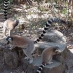 Muzyczne Podróże Przez Świat. Madagaskar (10 grudnia 2016) / Prof. Danuta Rasała / Radio Kielce