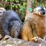 Muzyczne Podróże Przez Świat. Madagaskar (10 grudnia 2016) / Prof. Danuta Rasała / Radio Kielce