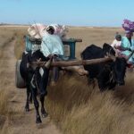 Muzyczne Podróże Przez Świat. Madagaskar (10 grudnia 2016) / Prof. Danuta Rasała / Radio Kielce