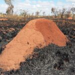 Muzyczne Podróże Przez Świat. Madagaskar (10 grudnia 2016) / Prof. Danuta Rasała / Radio Kielce