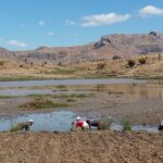 Muzyczne Podróże Przez Świat. Madagaskar (10 grudnia 2016) / Prof. Danuta Rasała / Radio Kielce