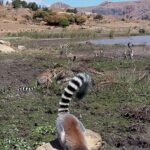 Muzyczne Podróże Przez Świat. Madagaskar (10 grudnia 2016) / Prof. Danuta Rasała / Radio Kielce