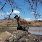 Muzyczne Podróże Przez Świat. Madagaskar (10 grudnia 2016) / Prof. Danuta Rasała / Radio Kielce