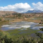 Muzyczne Podróże Przez Świat. Madagaskar (10 grudnia 2016) / Prof. Danuta Rasała / Radio Kielce