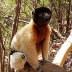 Muzyczne Podróże Przez Świat. Madagaskar (10 grudnia 2016) / Prof. Danuta Rasała / Radio Kielce