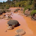 Muzyczne Podróże Przez Świat. Madagaskar (10 grudnia 2016) / Prof. Danuta Rasała / Radio Kielce