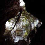 Muzyczne Podróże Przez Świat. Madagaskar (10 grudnia 2016) / Prof. Danuta Rasała / Radio Kielce