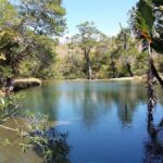 Muzyczne Podróże Przez Świat. Madagaskar (10 grudnia 2016) / Prof. Danuta Rasała / Radio Kielce