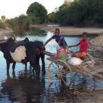 Muzyczne Podróże Przez Świat. Madagaskar (10 grudnia 2016) / Prof. Danuta Rasała / Radio Kielce